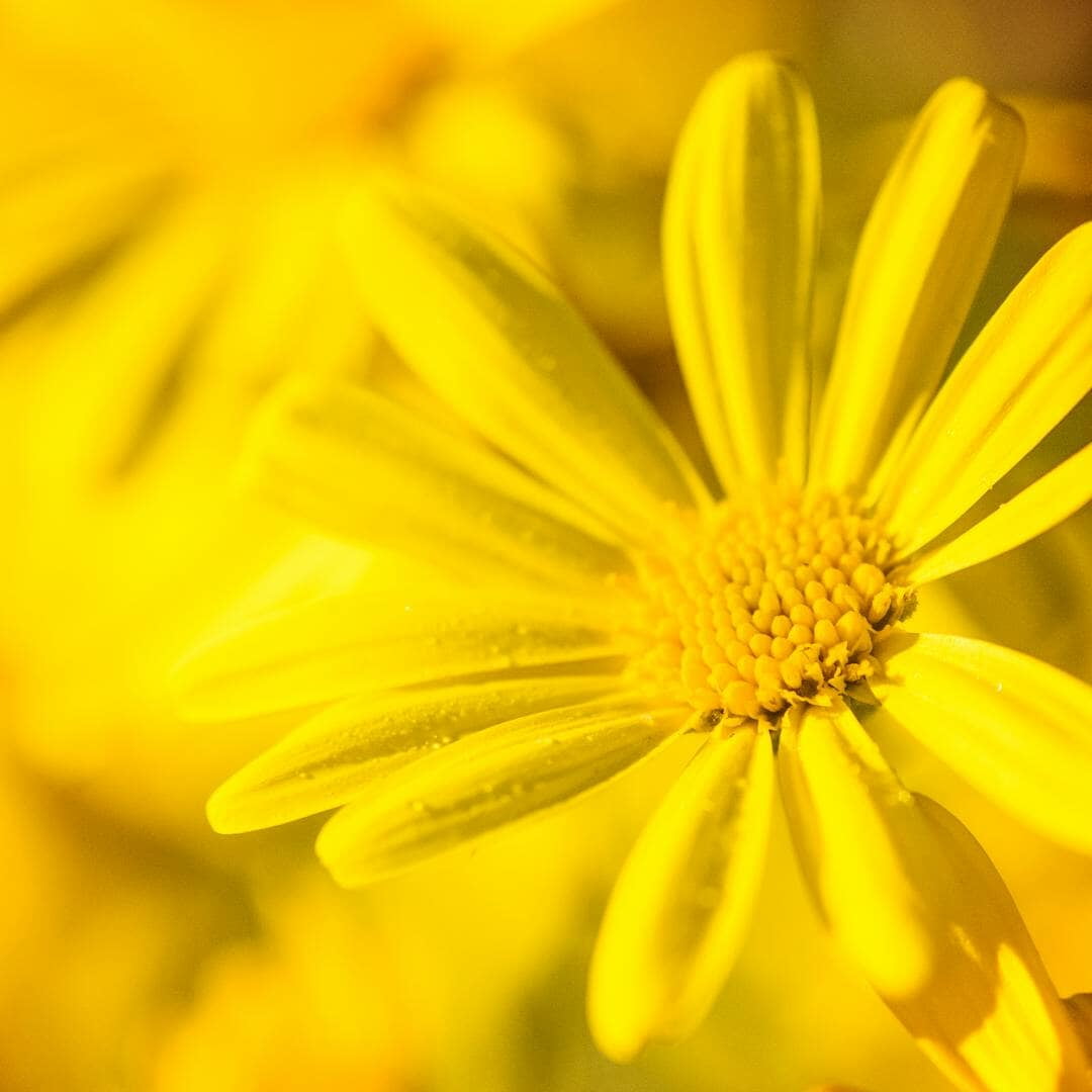 Exploring Depression and Mental Wellness
